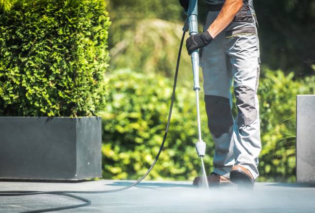 Best Vinyl Siding Pressure Washing in Blandon, PA