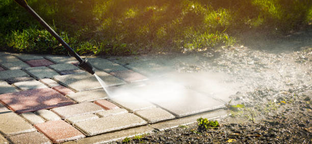 Best Roof Cleaning and Mildew Removal in Blandon, PA